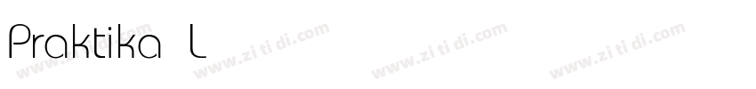 Praktika Light字体转换